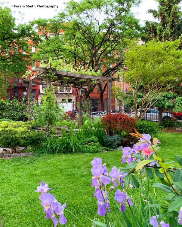 Gallery Clinton Community Garden